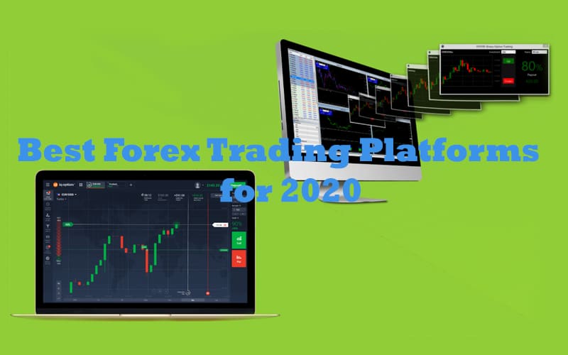 Best forex trader 2020