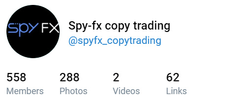 Spy FX Social network