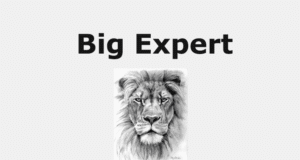 Big Expert