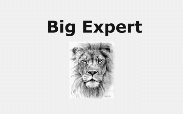 Big Expert