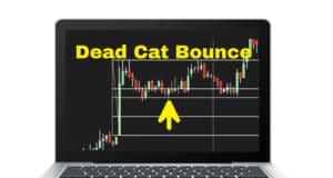 Dead Cat Bounce in Forex and Crypto – An Explanation Through Examples