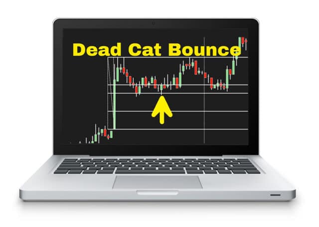 Dead Cat Bounce in Forex and Crypto – An Explanation Through Examples